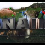 Canaima
