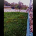 rttfghf